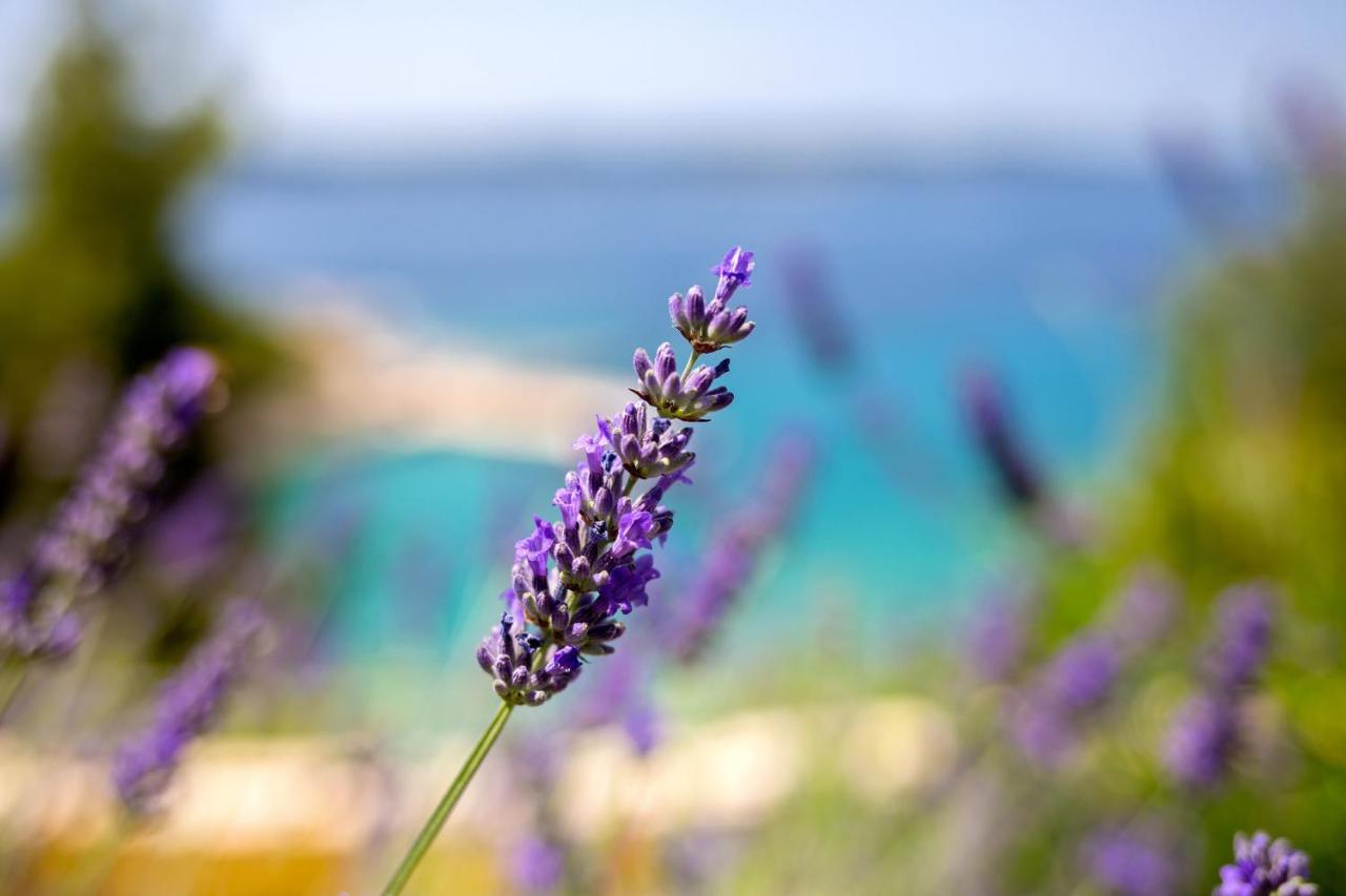 Blue Bay Residence Hvar Town Exterior photo
